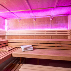 Hotel_Alpina_Landstrasse_19_Ried_06_2025_Sauna